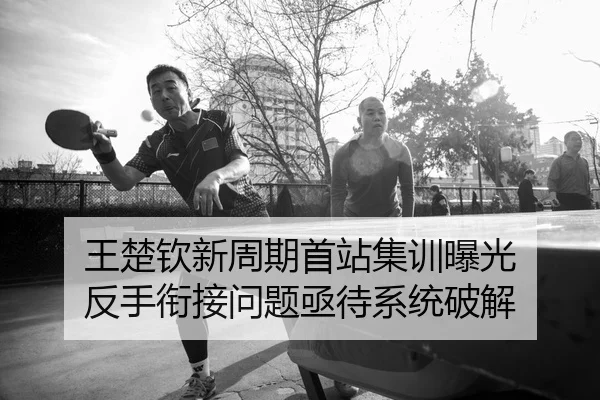 王楚钦新周期首站集训曝光 反手衔接问题亟待系统破解