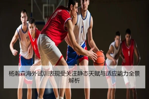杨瀚森海外试训表现受关注静态天赋与适应能力全景解析