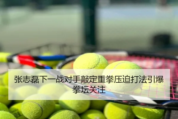张志磊下一战对手敲定重拳压迫打法引爆拳坛关注
