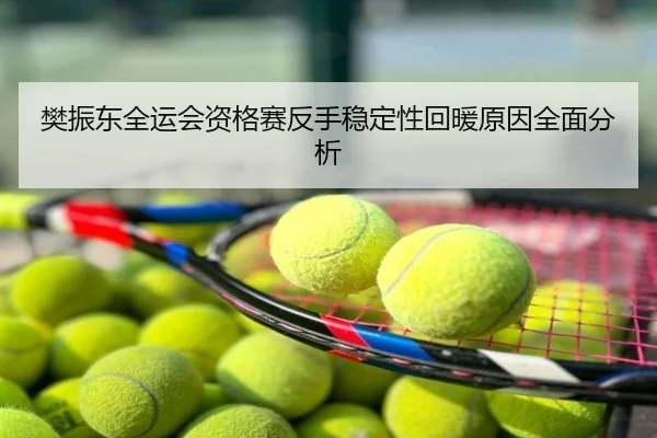 樊振东全运会资格赛反手稳定性回暖原因全面分析